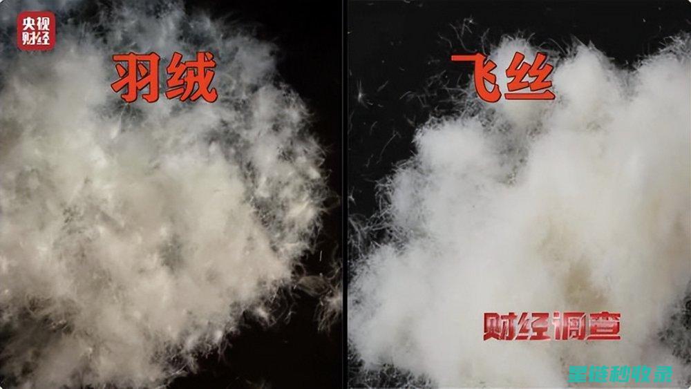 羽绒服怎么清洗才不会走形？ (羽绒服怎么清洗干净视频教程)