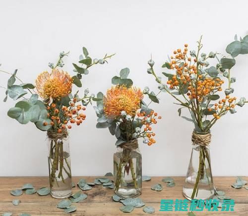 花瓶清洁与保养，打造优雅家居环境的必备技能 (花瓶清洁与保养的区别)