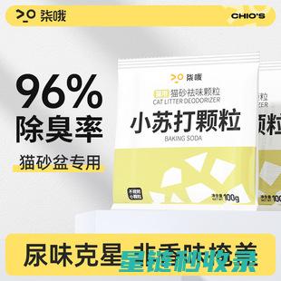 猫砂除臭全记录：从失败到成功的过程 (猫砂除臭效果)