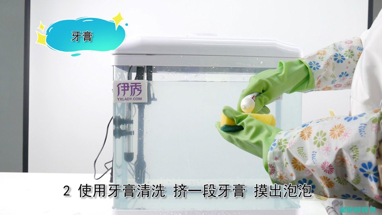 鱼缸清洁后的观察期：确保鱼儿适应新环境 (鱼缸清洁后的水变浑浊)