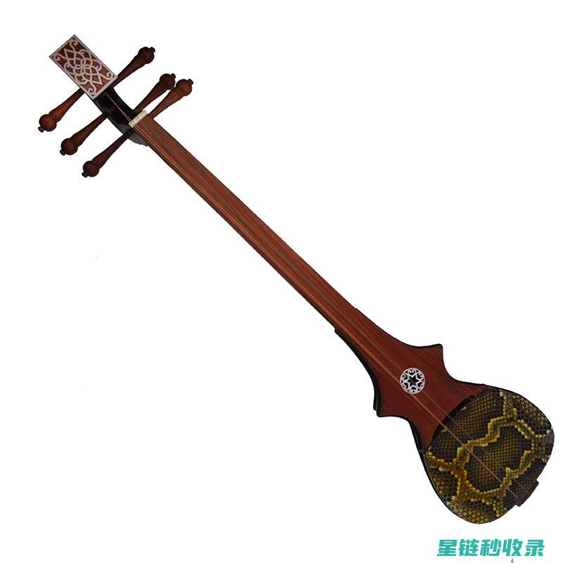 乐器防潮全记录：从基础到进阶的养护全过程 (乐器防虫)